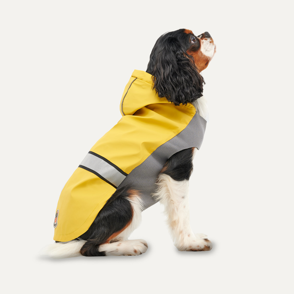 Gooeez Reflective Hooded Raincoat XS Yellow/Grey