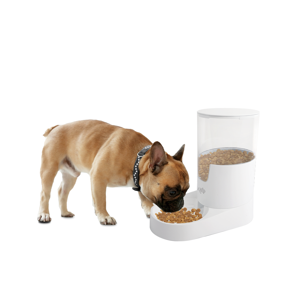 AFP Lifestlye 4 Pets - Gravity Pet Food Feeder