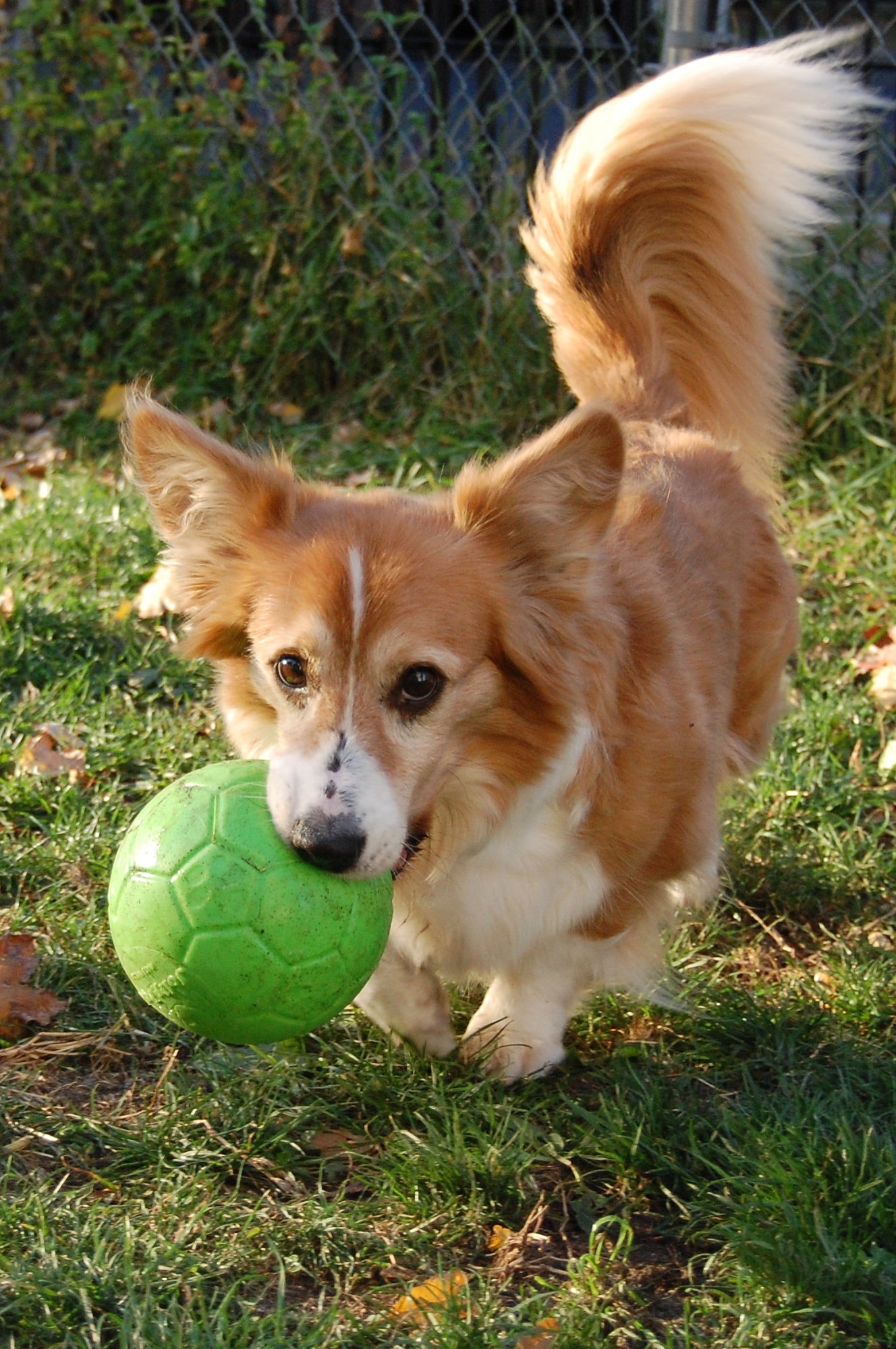 Jolly Soccer Ball 15cm Orange