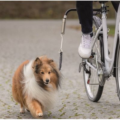 Trixie Bikerset Fahrradhalterung Springer