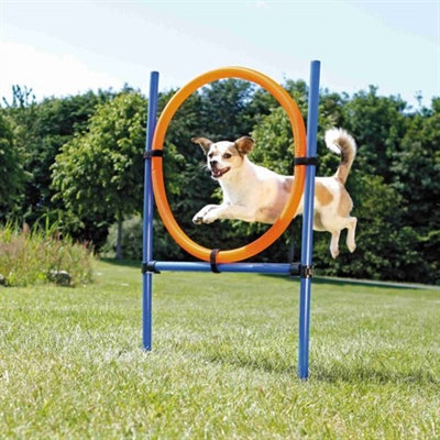 Trixie Hund Aktivität Agility-Ring Blau / Orange