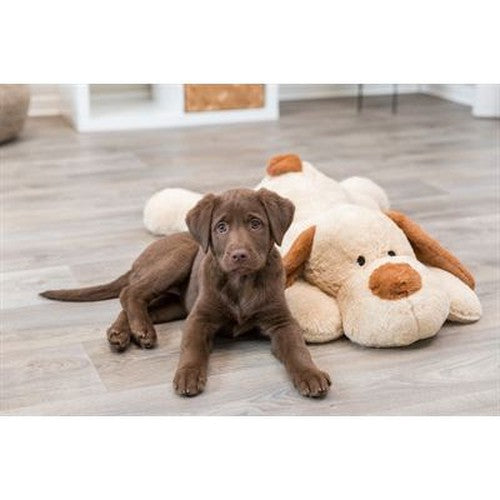 Trixie Kuschelhund Benny Plüsch Beige / Braun