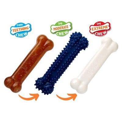 Nylabone Welpe Kauen Welpen-Starter-Kit Huhn