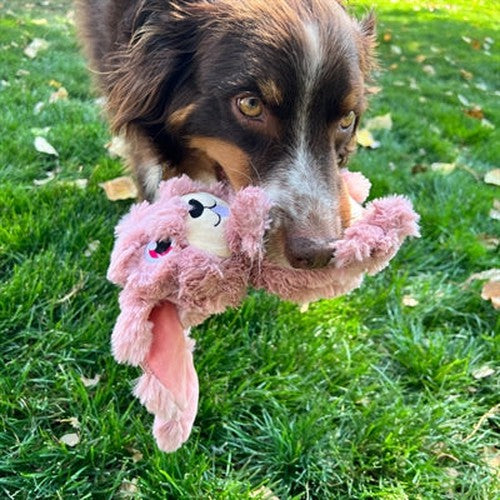 Kong Scrumplez Hase Plüsch Mit Quietsche Rosa