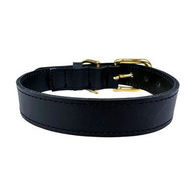 Sazzz Hundehalsband Braveheart Classic Leder Schwarz