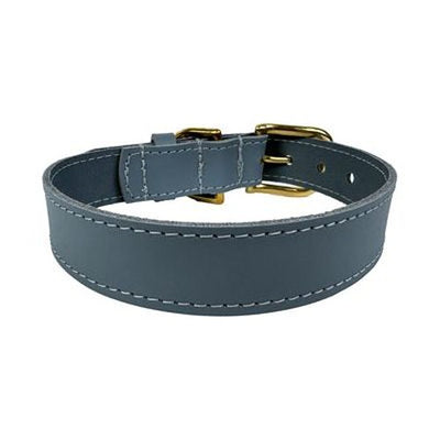 Sazzz Hundehalsband Braveheart Classic Leder Hellblau