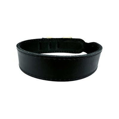 Sazzz Hundehalsband Pioneer Classic Leder Schwarz