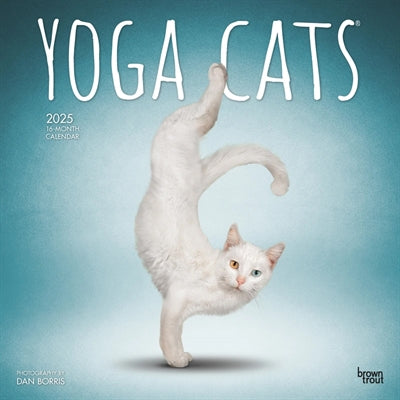 Markenlos Kalender Yoga Katzen 2025