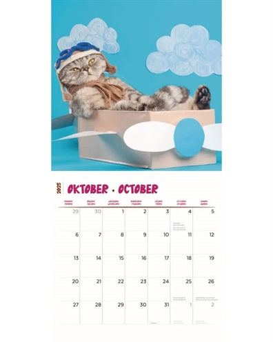 Markenlos Kalender Lustigste Katzen 2025