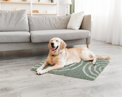 Zolux Hundedecke Bogen Grün