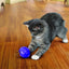 Kong Leckerlispender Für Katzen Mit Futterball