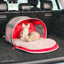 Kong Dog Bag 2-In-1 Mit Ligmat