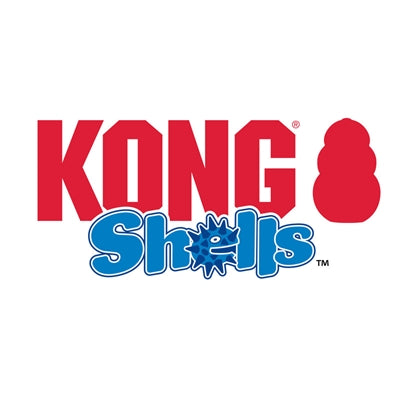 Kong Muscheln Bär Braun