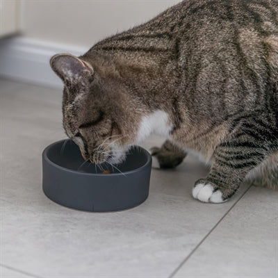 Trixie Fressnapf Katze Keramik Sortiert