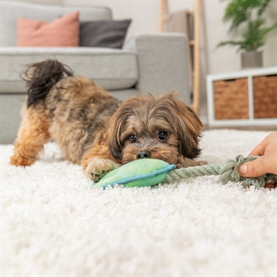 Trixie Tierbein Mit Seil Grün