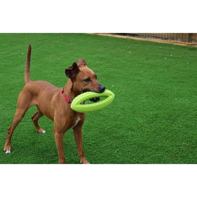 Happy Pet Grubber Interaktiver Rugby-Ball