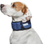 Aqua Coolkeeper Halsband Aqua-Kühlwächter Pazifik Blau