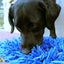Eat Slow Live Longer Play Mat Rosa