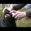 Excellent Pets Dental Oral Spray 150 ml