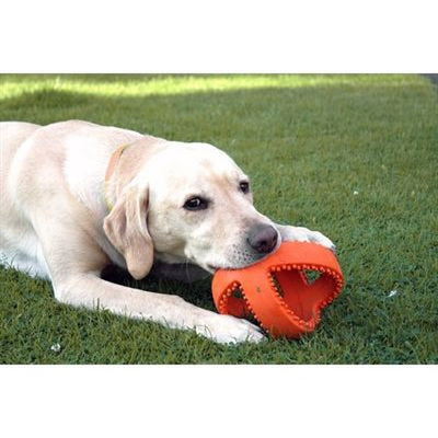 Happy Pet Interaktiver Fussball Orange