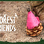 Forest Friends Mouse Orange