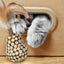 Addicted! Stick with Caterpillar & Feathers