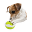 AFP Interactives - Dog Interpreter