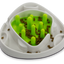 AFP Interactives - Food Maze