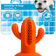 AFP Dental Chews - Dental Cactus M Orange