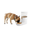 AFP Lifestyle 4 Pets Gravity Pet Food Feeder