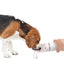 AFP 2 In 1 Stainless Drinking Bottle