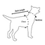 AFP Off Street - Dog Non-Pull Harness Olivgrün L