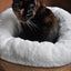 AFP Lambswool - Donut Bed Beige