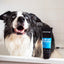 Animology Hair Of The Dog Anti-Tangle Dog Shampoo 250 ml