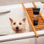 Animology Derma Dog Sensitive Skin Dog Shampoo 250 ml