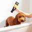 Animology Curly Coat Dog Shampoo 250 ml