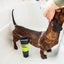 Animology Deep Clean Intensive Dog Shampoo 250 ml