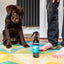 Animology Mucky Pup No Rinse Puppy Shampoo 250 ml
