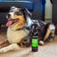 Animology Stink Bomb Deodorising Dog Spray 250 ml