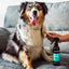 Animology Knot Sure De-Tangle Dog Spray 250 ml