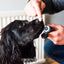 Animology Paws & Nose Balm 50 ml