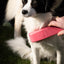 Excellent Pets Grooming Brush Medium Rosa
