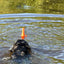 Dog Comets Bobber Grün