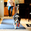 Chuckit! Indoor Roller