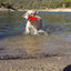 Chuckit! Amphibious Bumper S