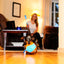 Chuckit! Indoor Shaker