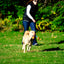 Chuckit! Ultra Duo Tug S