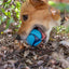Chuckit! Sniff Fetch Ball Bacon & Peanut Butter M 4-pack