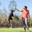 Chuckit! Sniff Fetch Ball Bacon & Peanut Butter M 4-pack