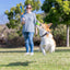 Chuckit! Sniff Fetch Ball Bacon & Peanut Butter M 4-pack